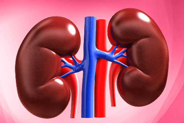 Nephrology